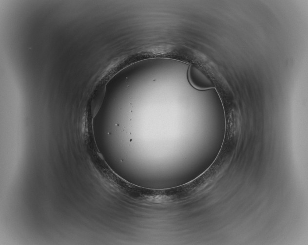 X0000116390212200912091441