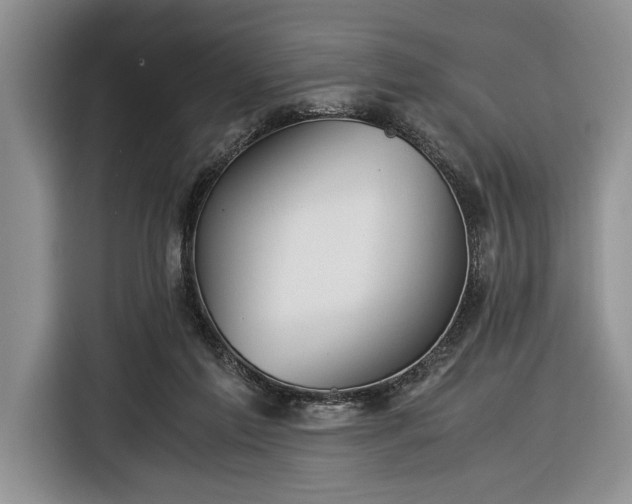 X0000116390213200912091441