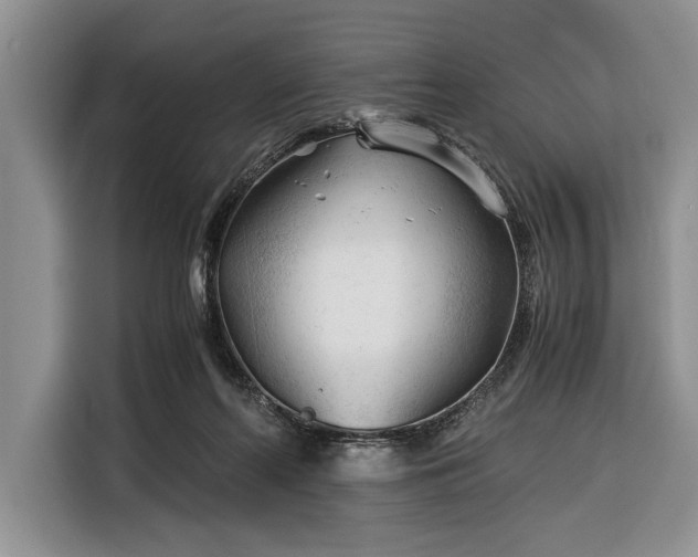 X0000116390214200912091441