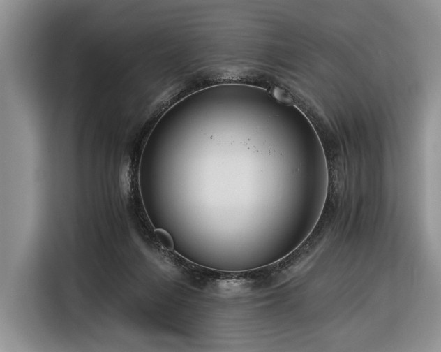 X0000116390216200912091441