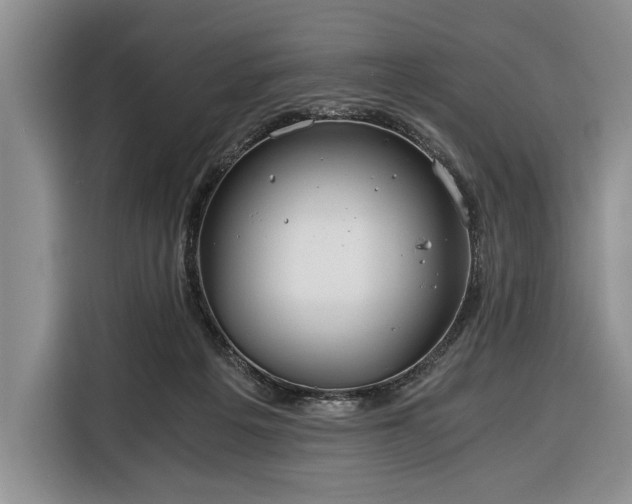 X0000116390217200912091441