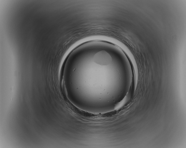 X0000116390219200912091441