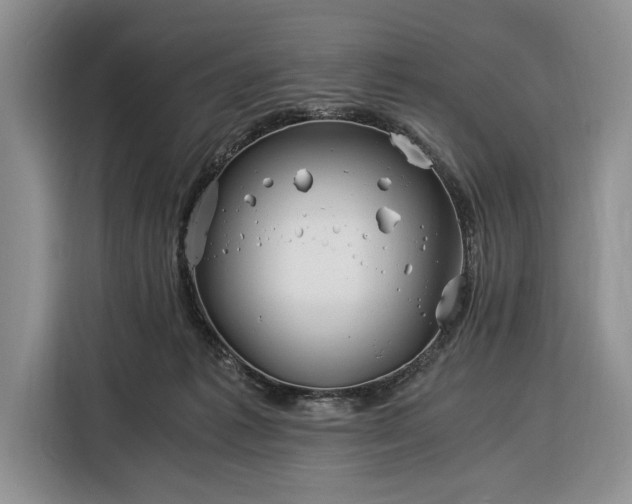 X0000116390221200912091441