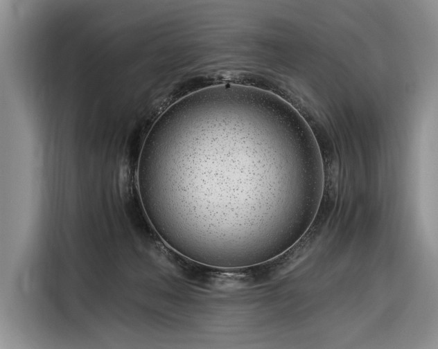 X0000116390222200912091441