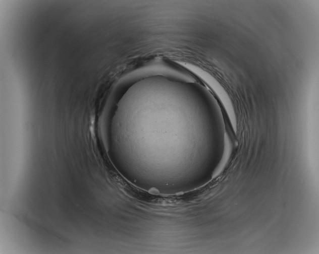 X0000116390223200912091441