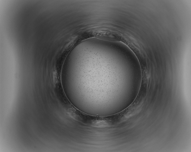 X0000116390224200912091441