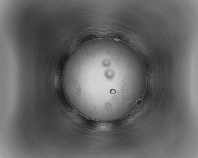 X0000116390226200912091441