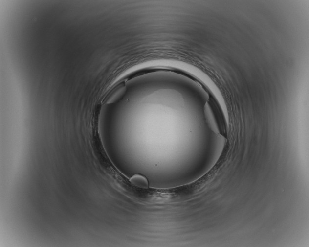 X0000116390227200912091441