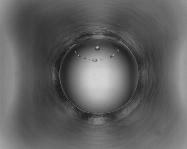 X0000116390228200912091441
