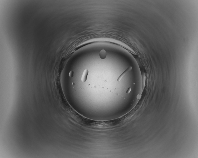 X0000116390229200912091441