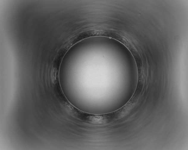 X0000116390230200912091441