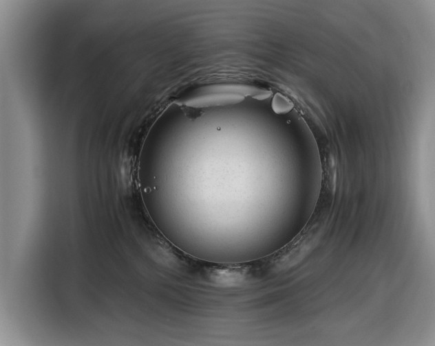 X0000116390232200912091441