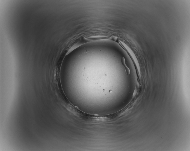 X0000116390233200912091441
