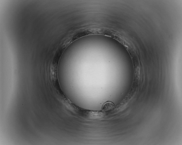X0000116390234200912091441