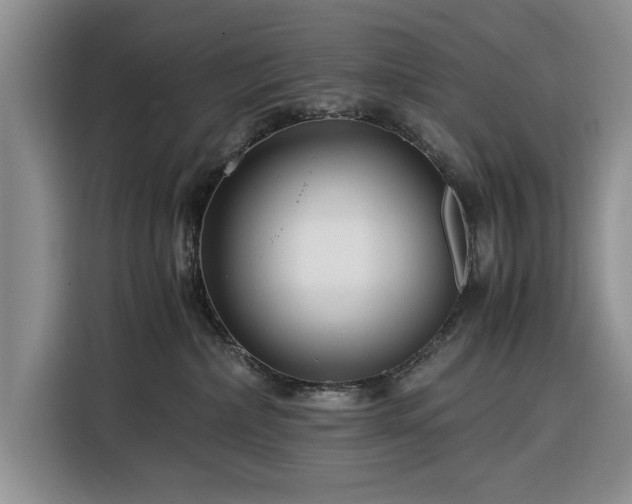 X0000116390236200912091441