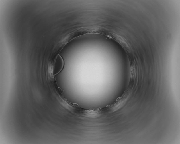 X0000116390238200912091441