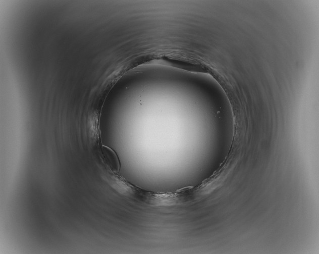 X0000116390240200912091441
