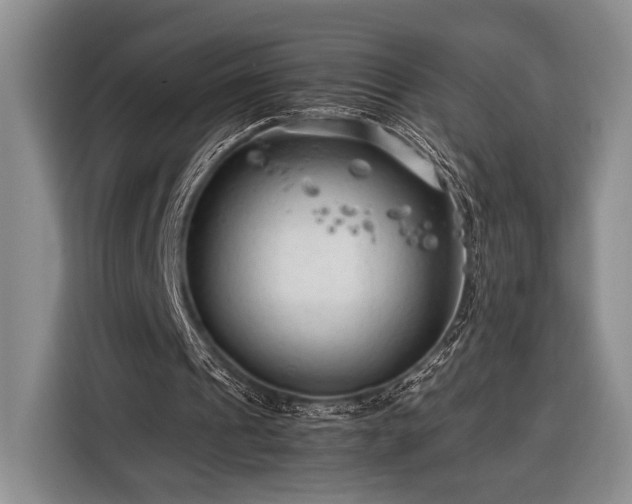 X0000116390241200912091440
