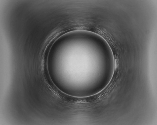 X0000116390243200912091440