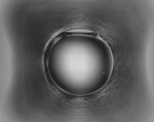 X0000116390244200912091440
