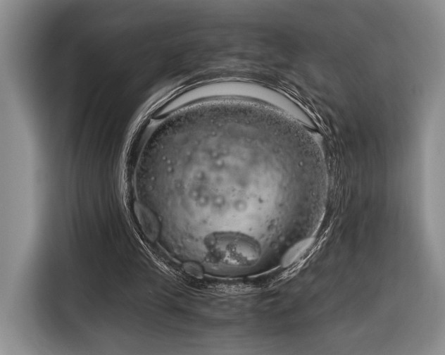 X0000116390245200912091440