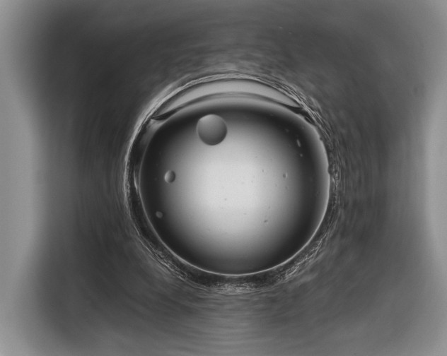 X0000116390248200912091440