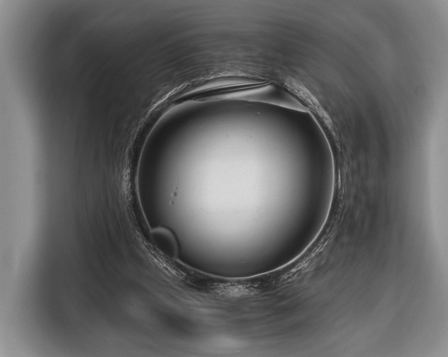 X0000116390249200912091440