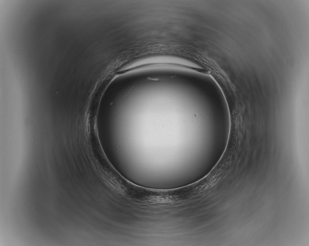 X0000116390250200912091440