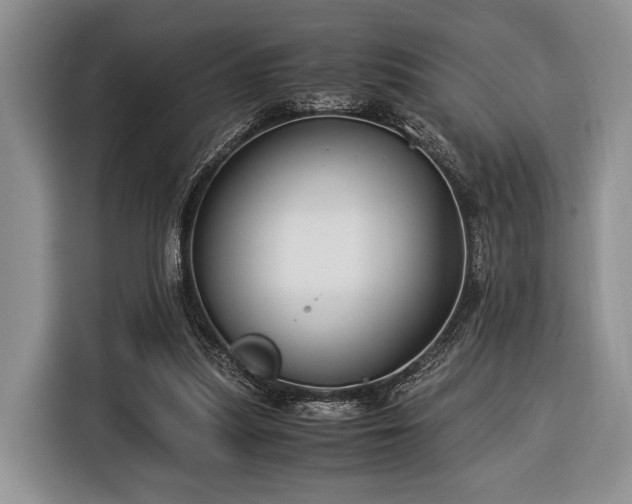 X0000116390251200912091440