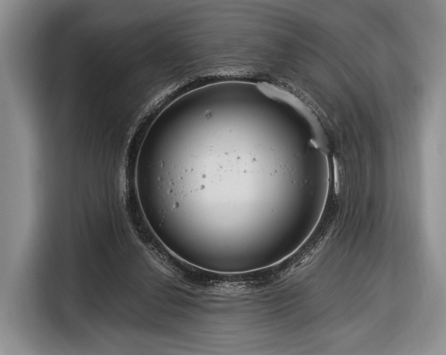 X0000116390252200912091440
