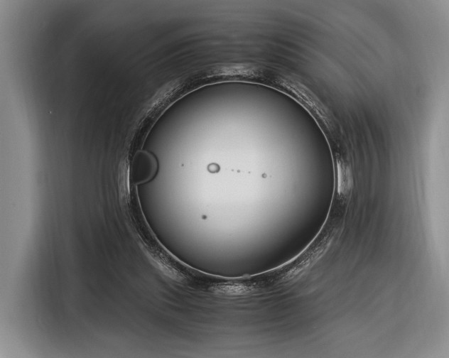 X0000116390253200912091440