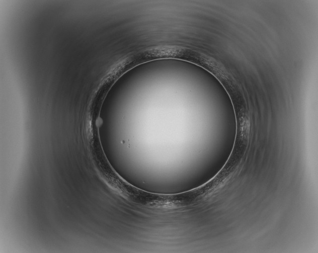 X0000116390254200912091440