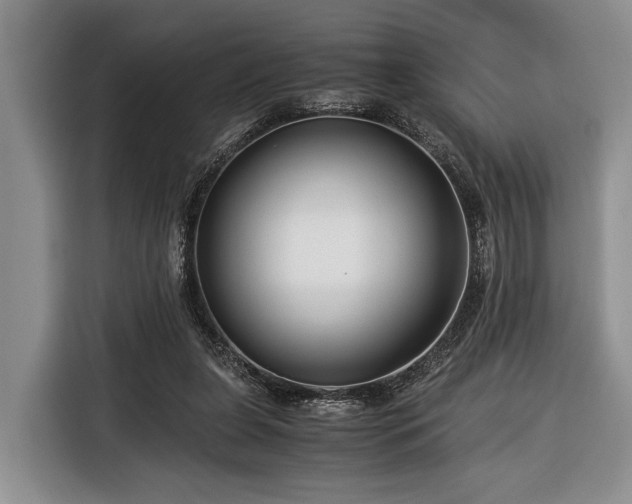 X0000116390255200912091440