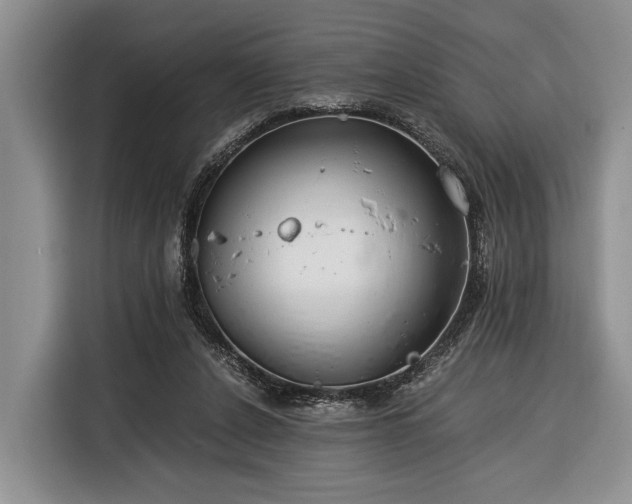 X0000116390256200912091440