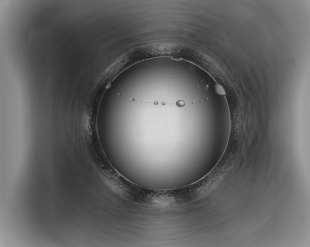 X0000116390258200912091440