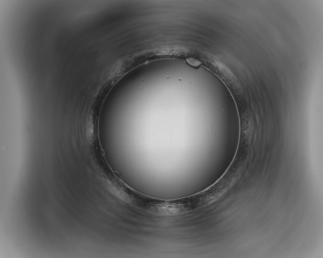 X0000116390261200912091440
