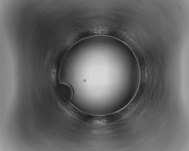 X0000116390263200912091440