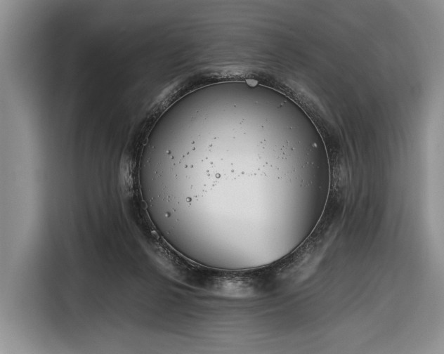 X0000116390264200912091440