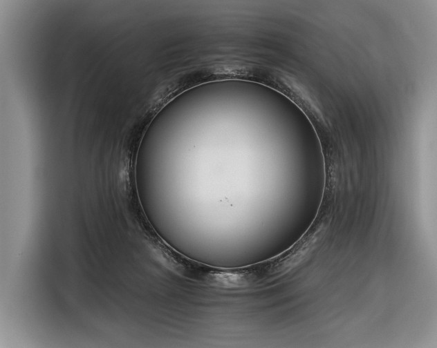 X0000116390265200912091440