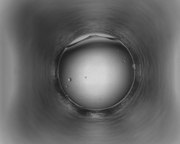 X0000116390268200912091440