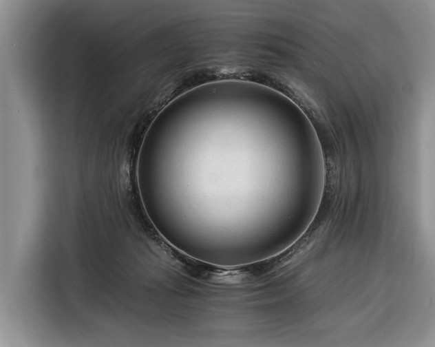 X0000116390269200912091440