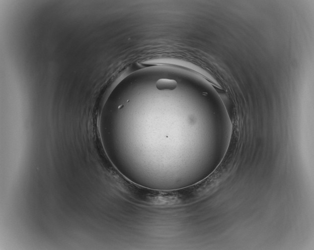 X0000116390270200912091440