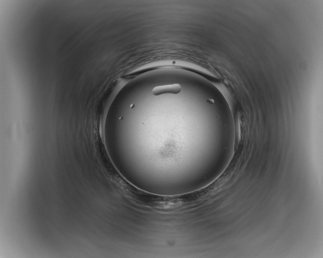 X0000116390274200912091440