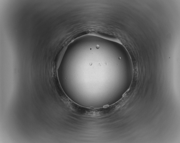 X0000116390276200912091440