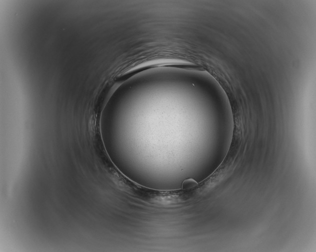 X0000116390278200912091440