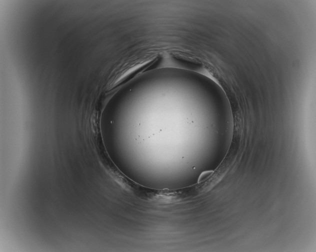 X0000116390280200912091440