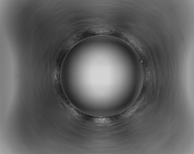 X0000116390281200912091441