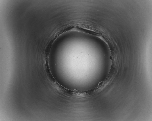 X0000116390282200912091441