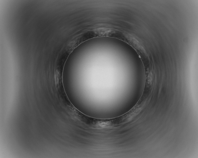 X0000116390283200912091441