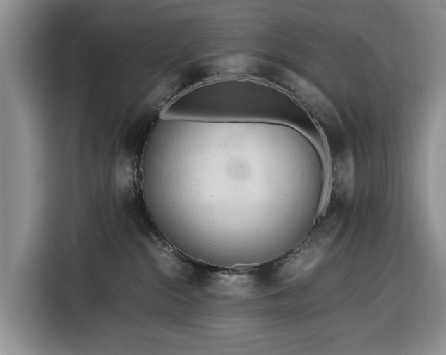 X0000116390284200912091441